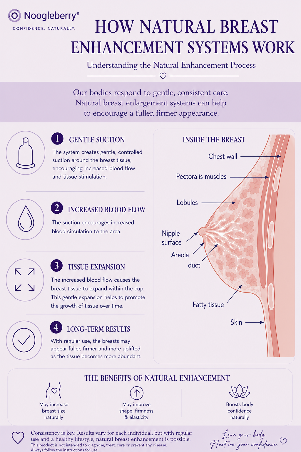How Do Natural Breast Enhancement Systems Work?